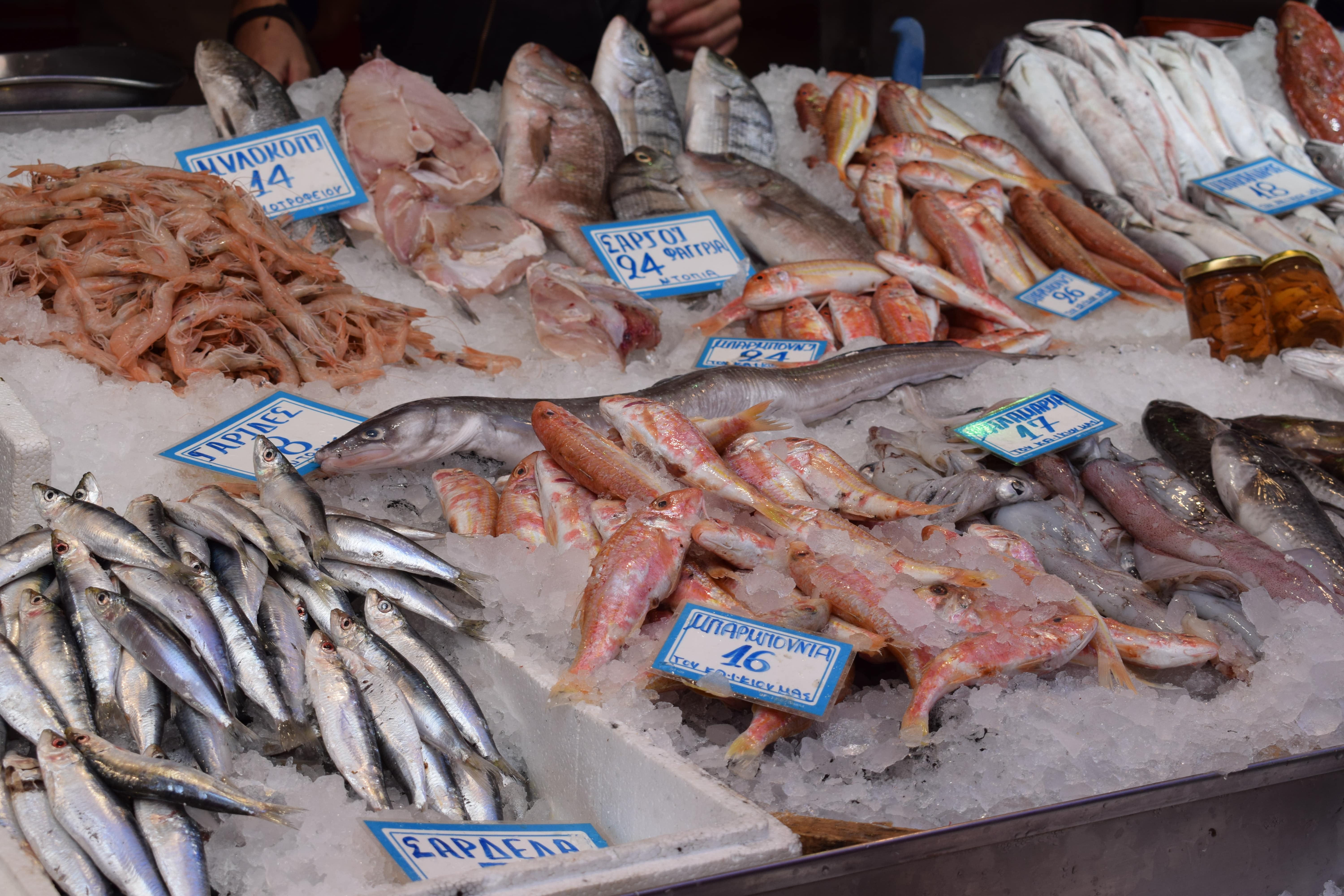 Foodies Feast of Heraklion Family Food Tour Crete Gastronomy Kidslovegreece bougatsa pies loukoumades oil cheese herbs culture