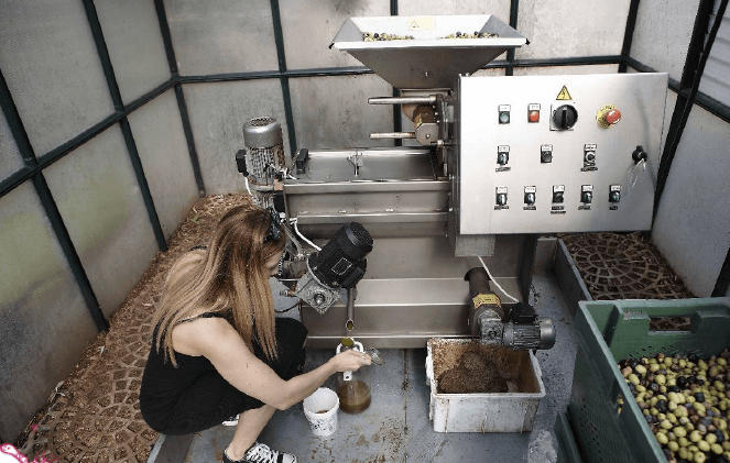 Olive Oil Tasting Family Workshop private experience kidslovegreece Athens Greece premium quality