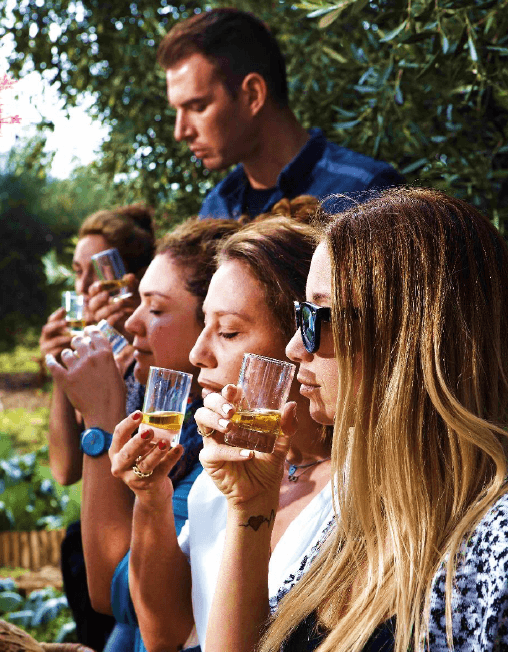 Athens Greece Olive Oil Tasting Family Workshop kidslovegreece private experience premium quality