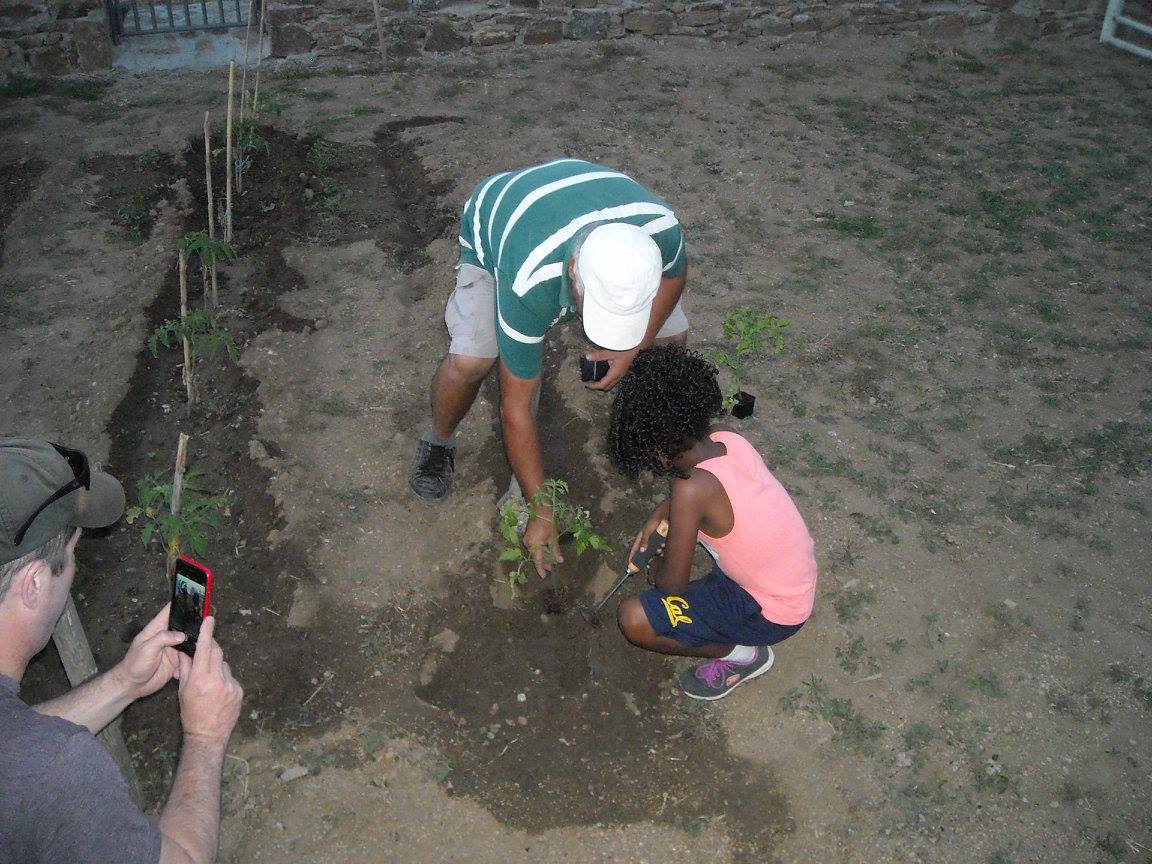 kids love greece activities for families greek culture family visit to an animal and organic farm on mykonos Cyclades