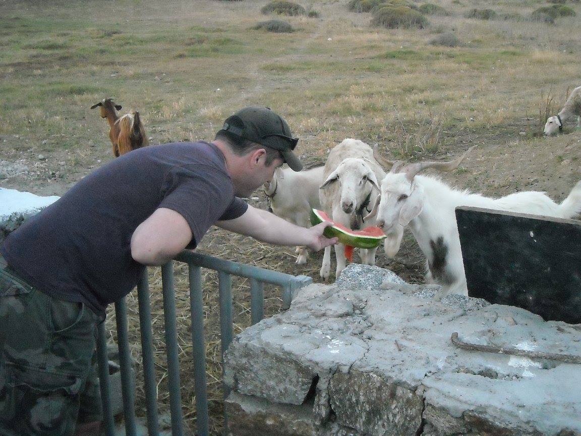 activities for families Cyclades family visit to an animal and organic farm on mykonos kids love greece greek culture