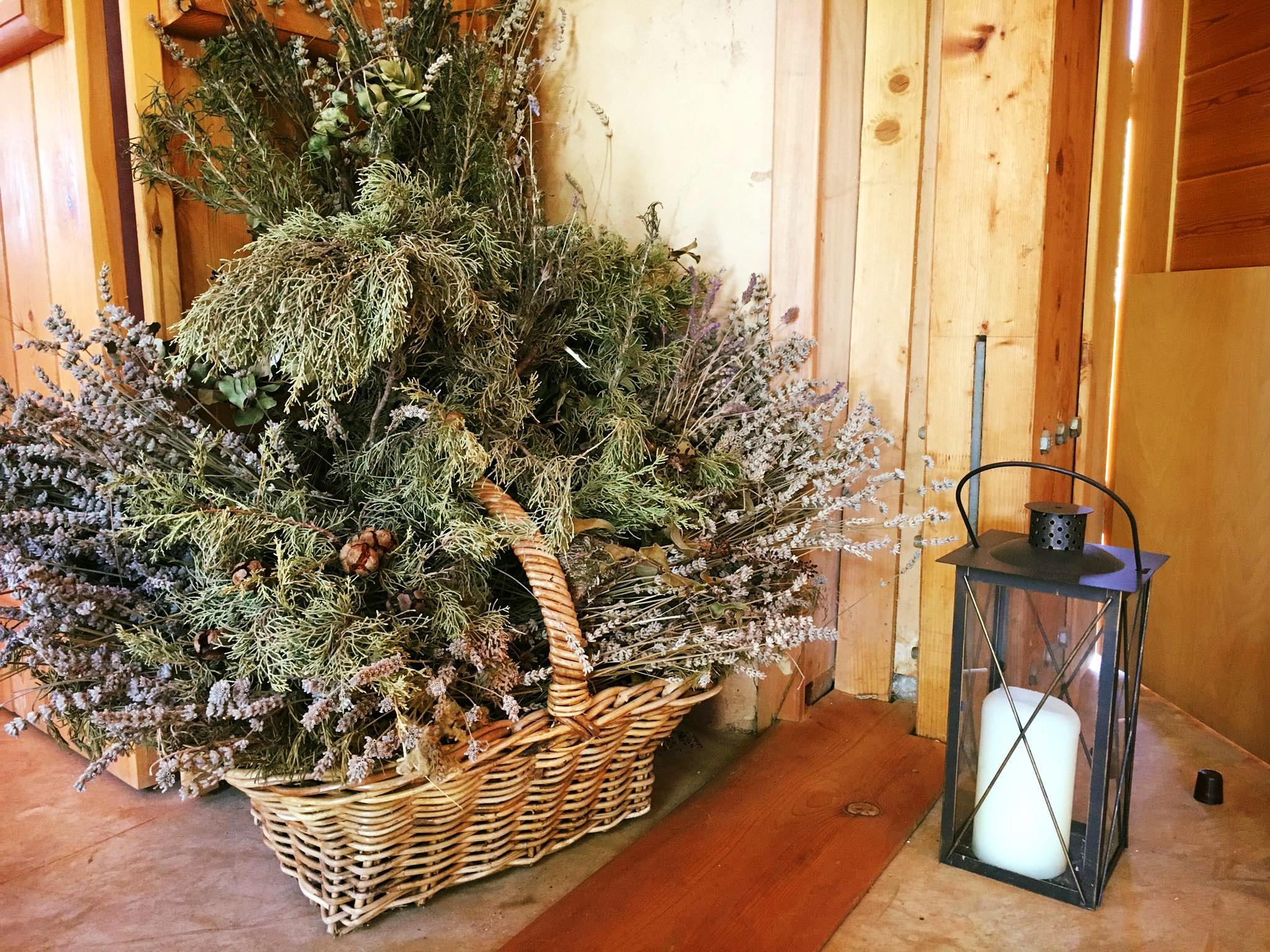 Chania Crete Natural treasures of Crete family half day tour activities for families gastronomy local culture sustainability kids love greece