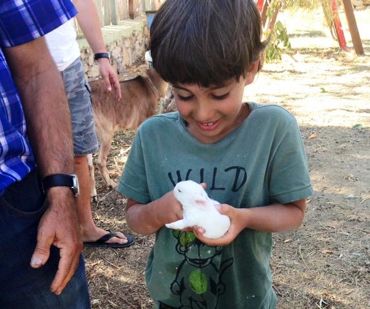 kids love greece activities for families sfakia chania wild west of crete family day tour