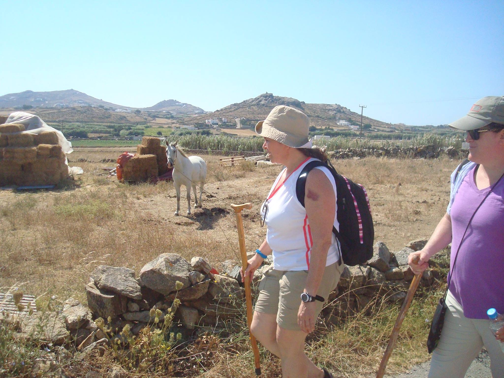 kids love greece activities for families Cyclades guided family hiking adventure in Mykonos island
