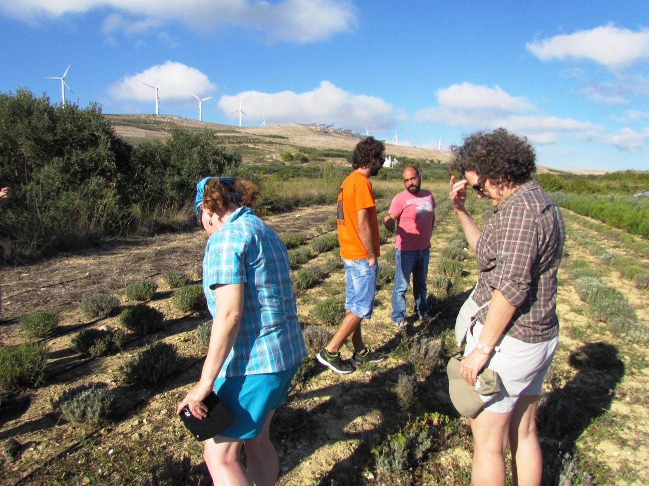 kids love greece Sitia Discover the Wild Herbs of Crete Family Tour