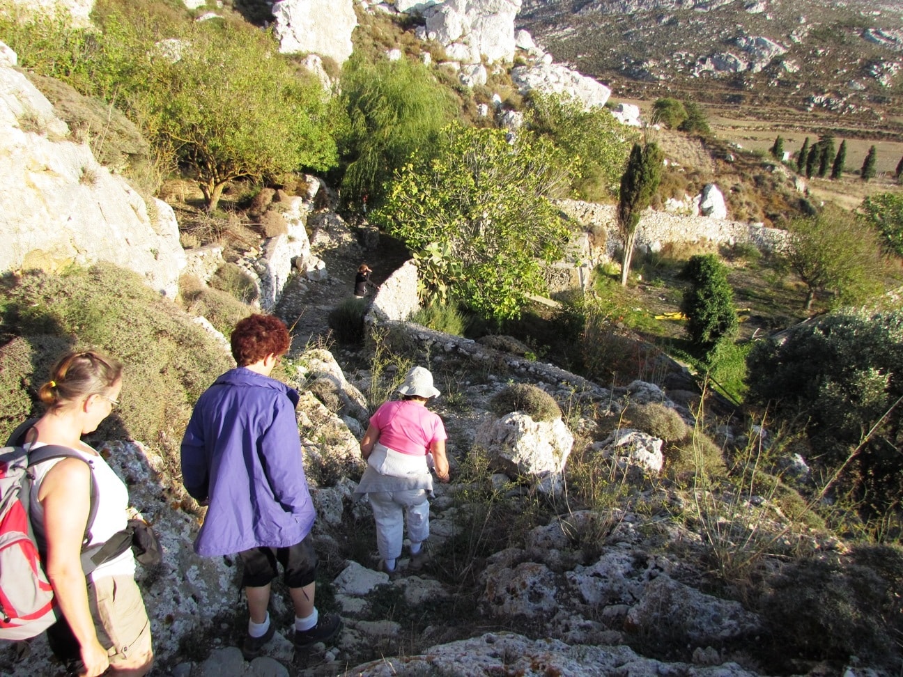 kids love greece Discover the Wild Herbs of Crete Family Tour Sitia
