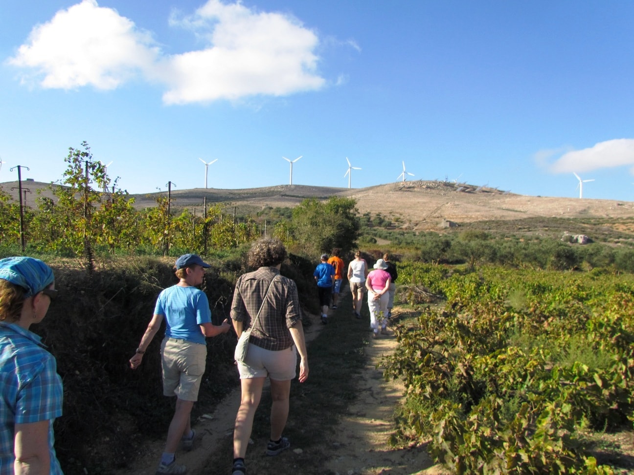 Sitia kids love greece Discover the Wild Herbs of Crete Family Tour