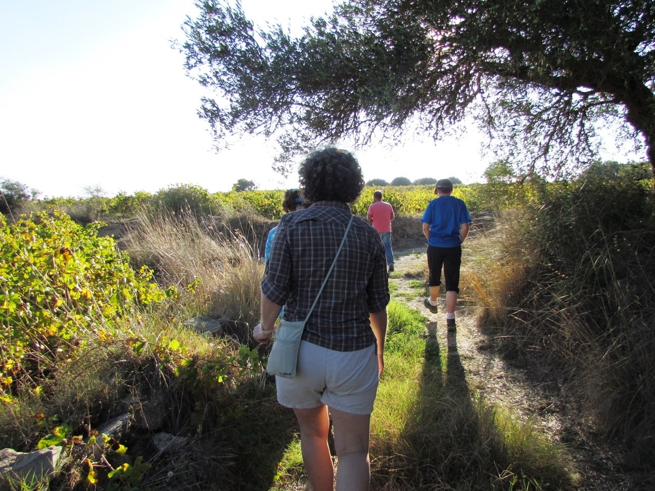 Discover the Wild Herbs of Crete Family Tour kids love greece Sitia