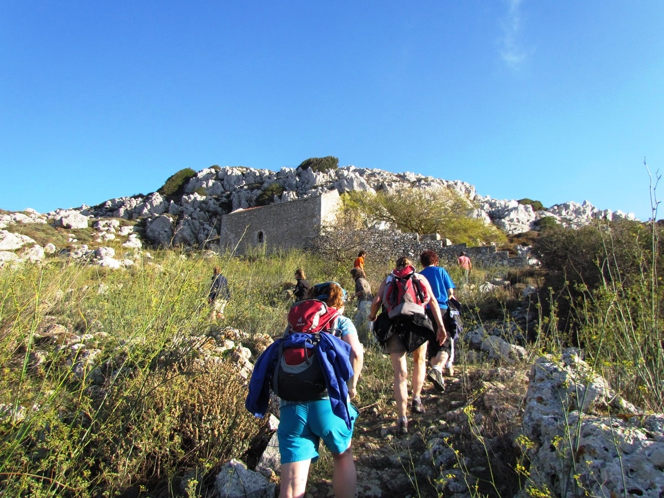 Discover the Wild Herbs of Crete Family Tour Sitia kids love greece