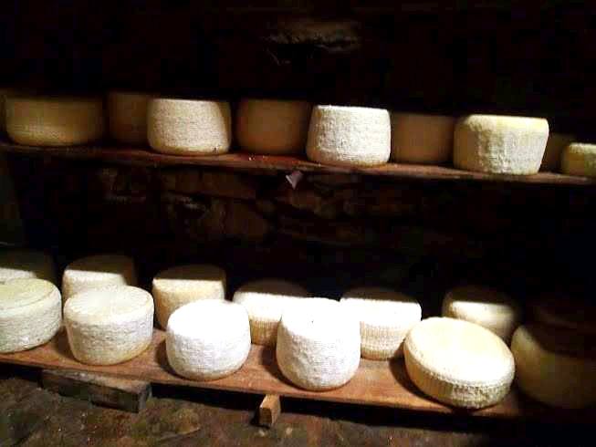 kids love greece activities for families Traditional Cretan Cheese Tasting and Making family guided tour Crete