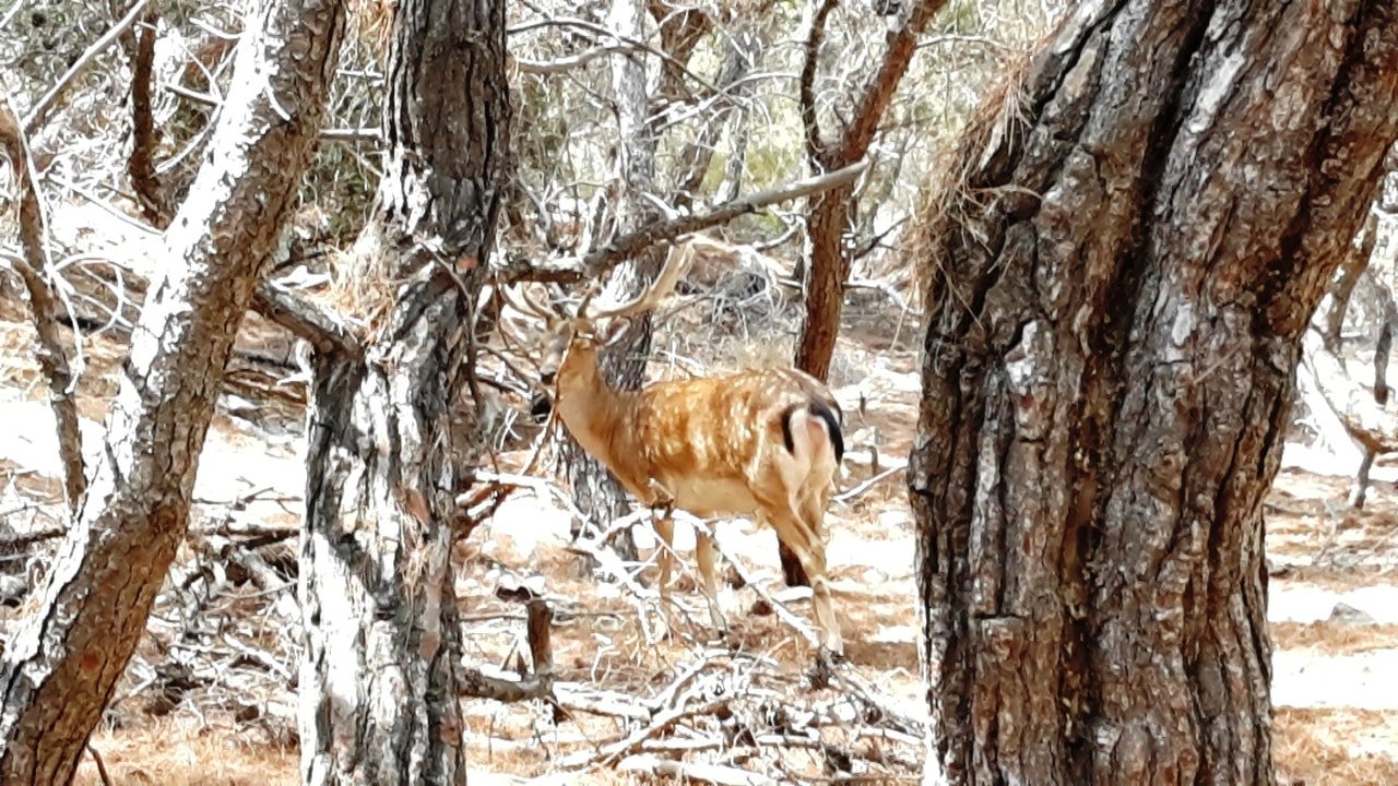 Saronic islands family sailing adventure from Athens kids love greece Aegina