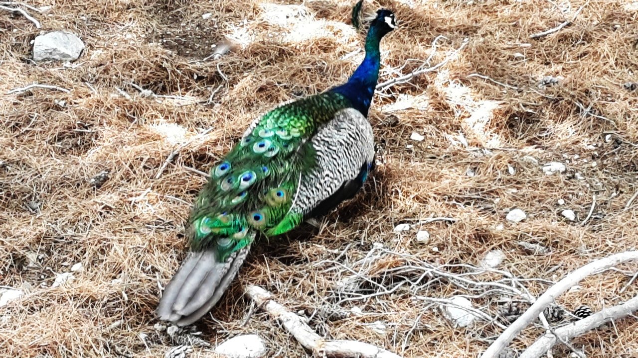 Aegina family sailing adventure from Athens Saronic islands kids love greece