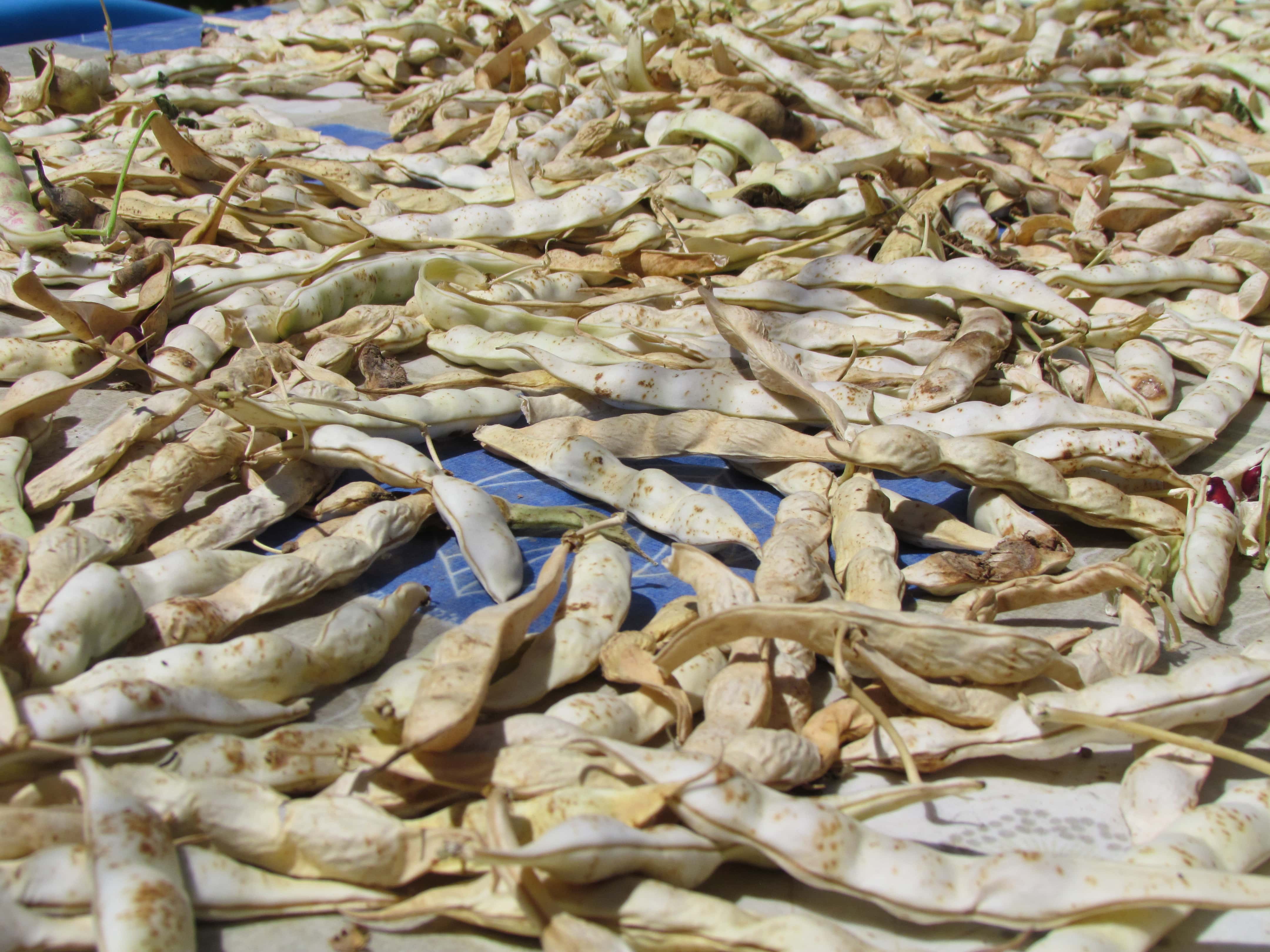 cooking activities for families food culture of crete family workshop kids love greece