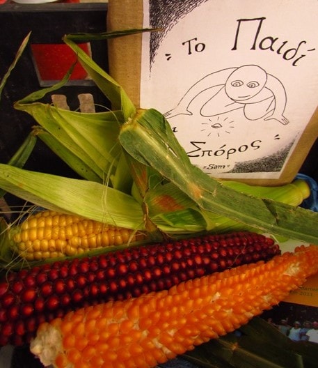 food culture of crete family workshop activities for families kids love greece cooking